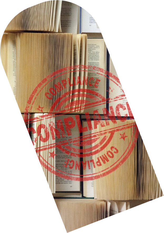 Obtener asesoramiento experto en ciberseguridad de un profesional de la seguridad.