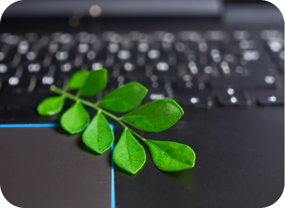 Groene plant op een laptop die staat voor de milieubewuste aanpak van onze hardwareabonnementsdienst.